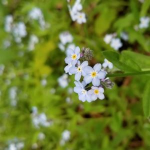 Meet your Posher, Karlie